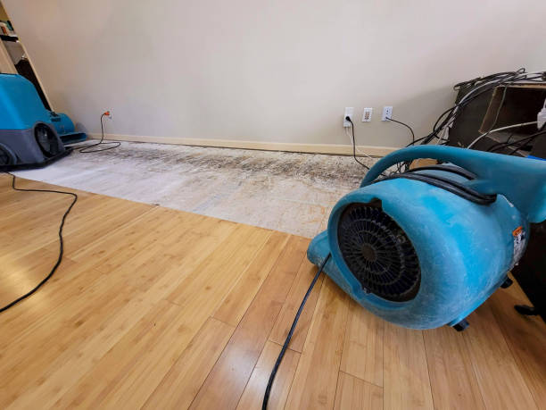 Professional Water Damage Repair technician working in Buffalo, OH